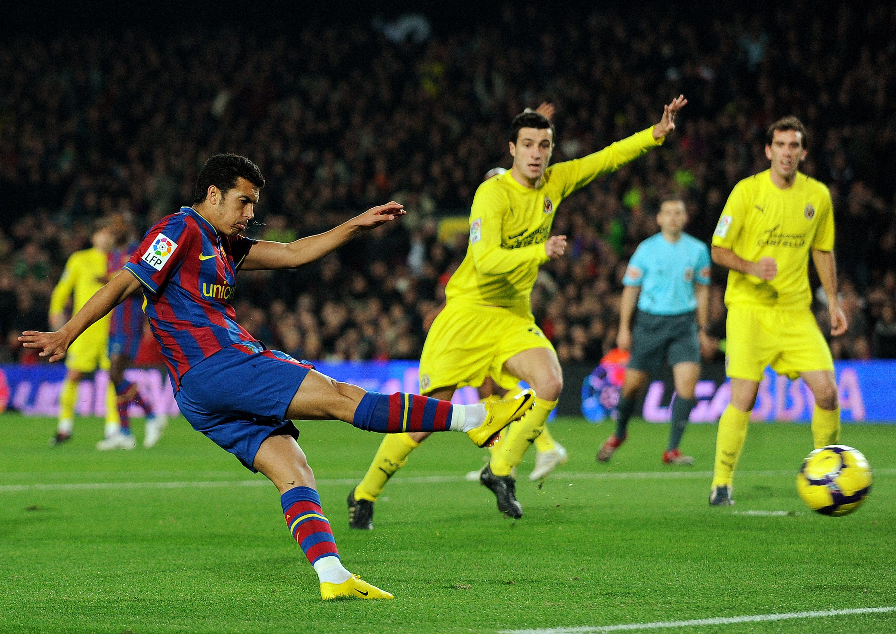 的职业球员 的职业球员