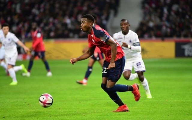 专注与凝聚 专注与凝聚