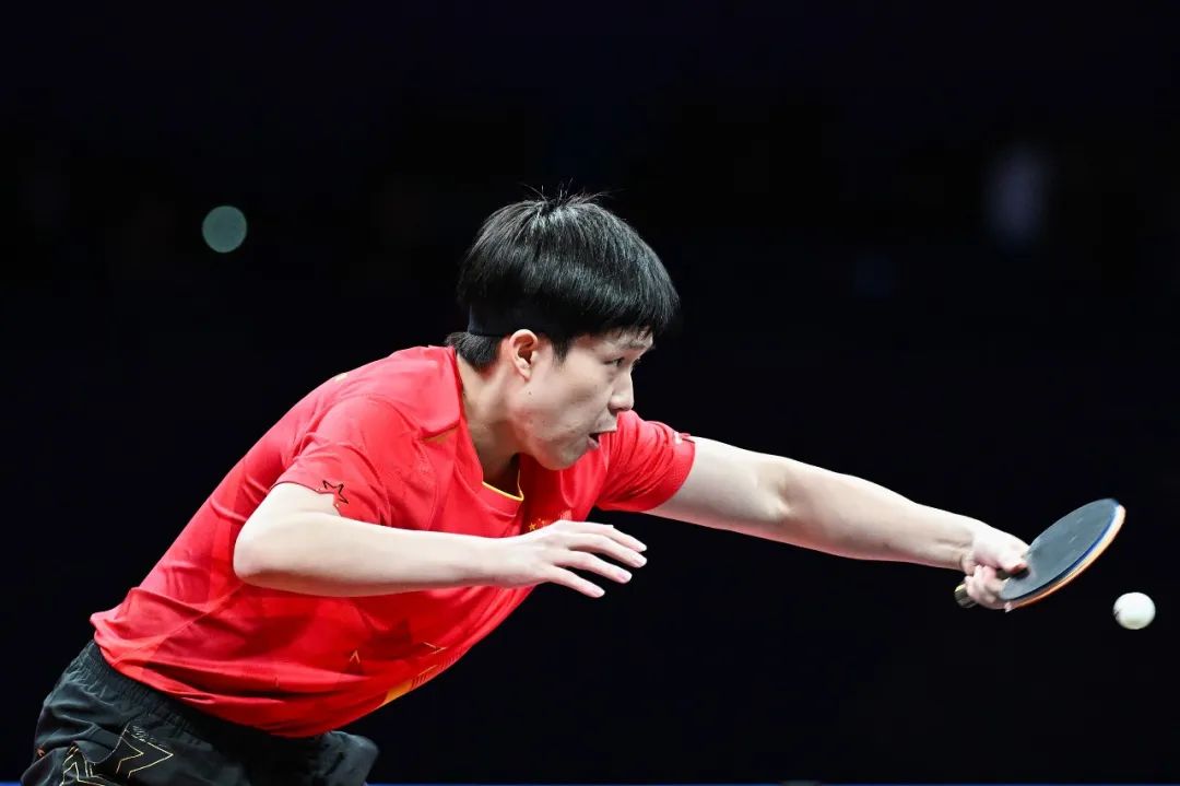 展现出较高 展现出较高