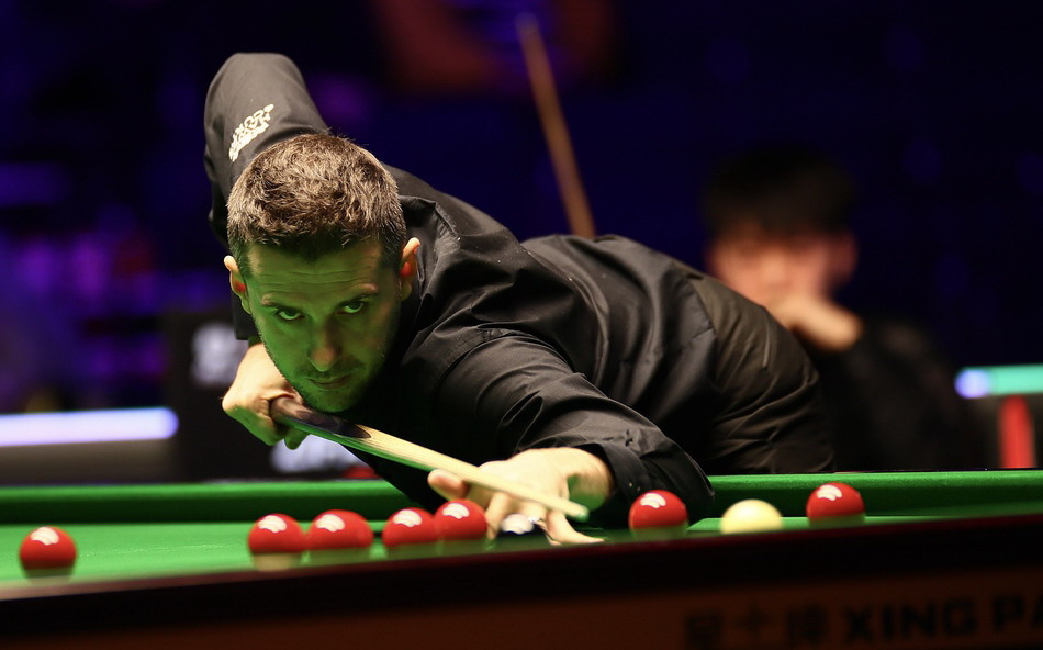 赛的观赏性 赛的观赏性